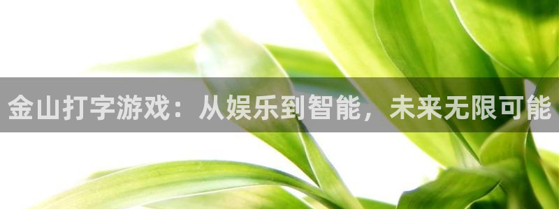 长征娱乐4招商：金山打字游戏：从娱乐到智能，未来无限可能